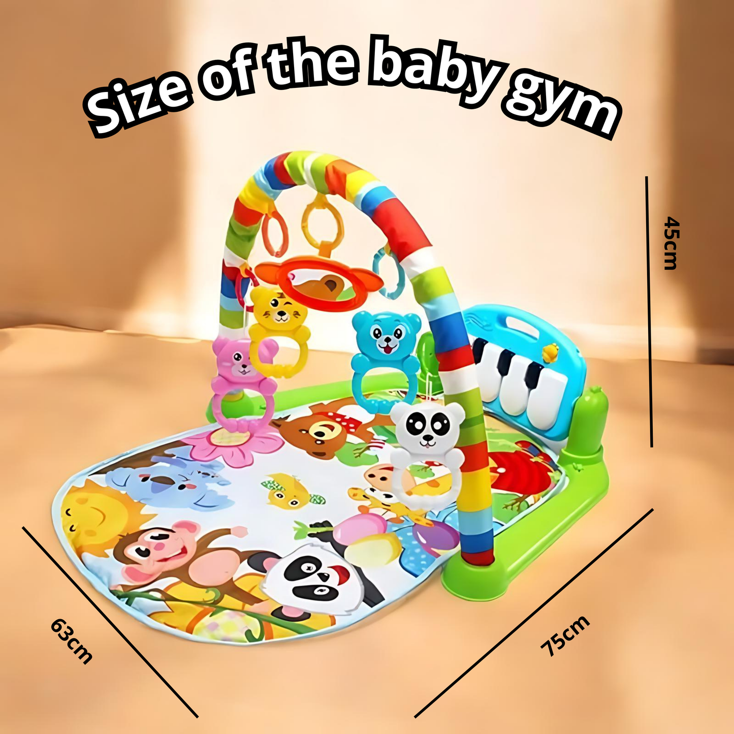 Infant Music Gym